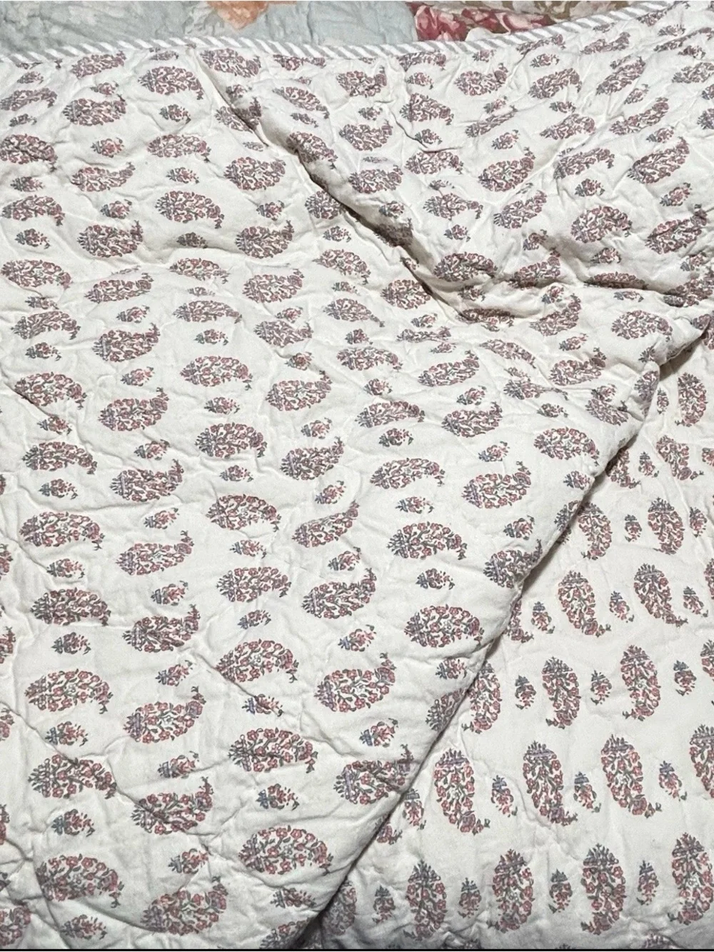 Pottery Barn Carolina Quilt (K) Euro Shams (2) Standard Shams NWT (2)